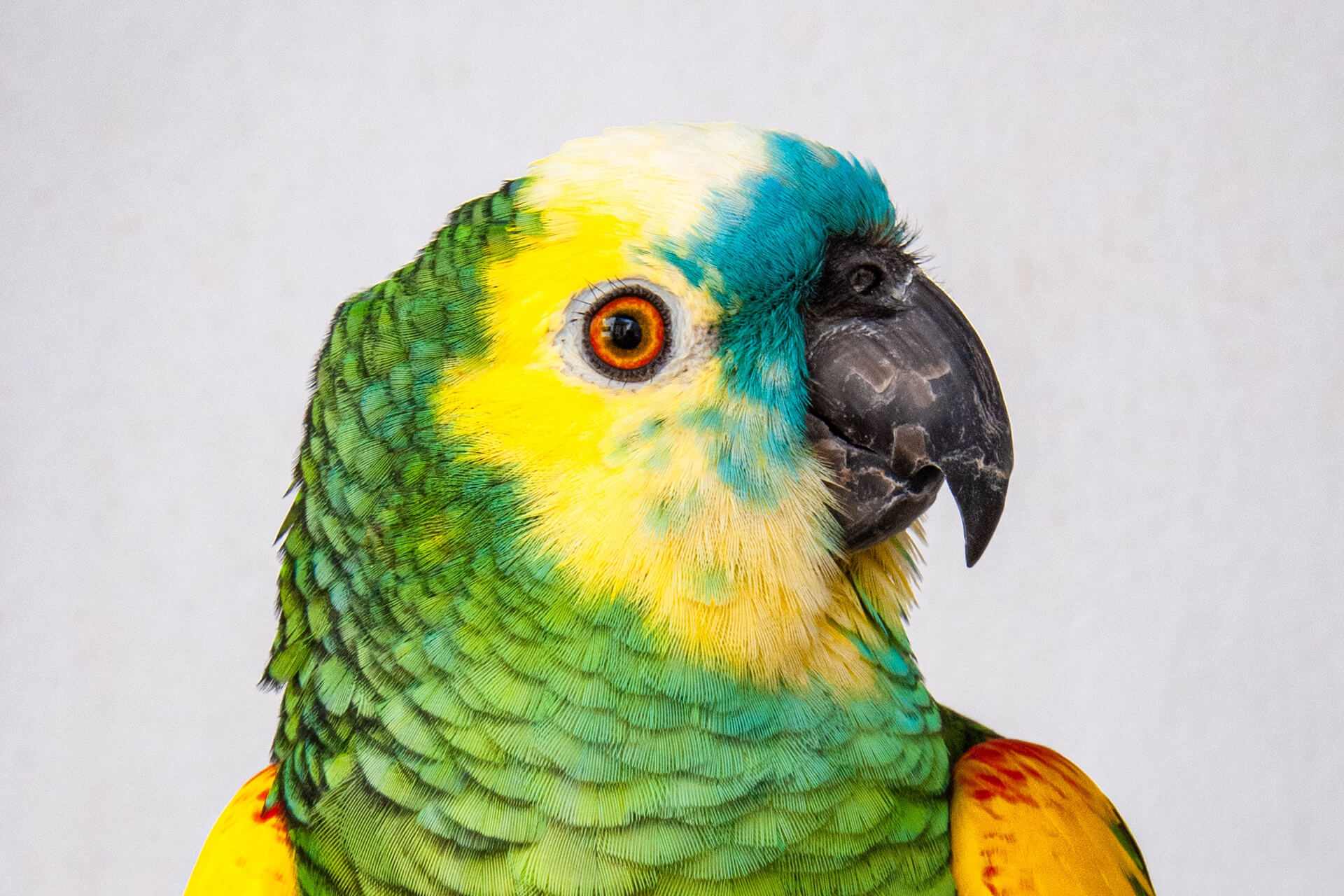 Receive Donated Supplies